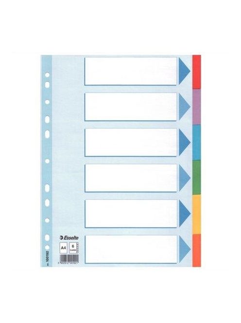 Regiszter, karton, A4, 6 részes, írható előlappal, ESSELTE "Standard", színes (E100192)